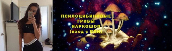 гидропоника Новокубанск