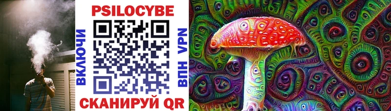 omg Талдом Псилоцибиновые грибы Psilocybe это наркотические препараты наркота